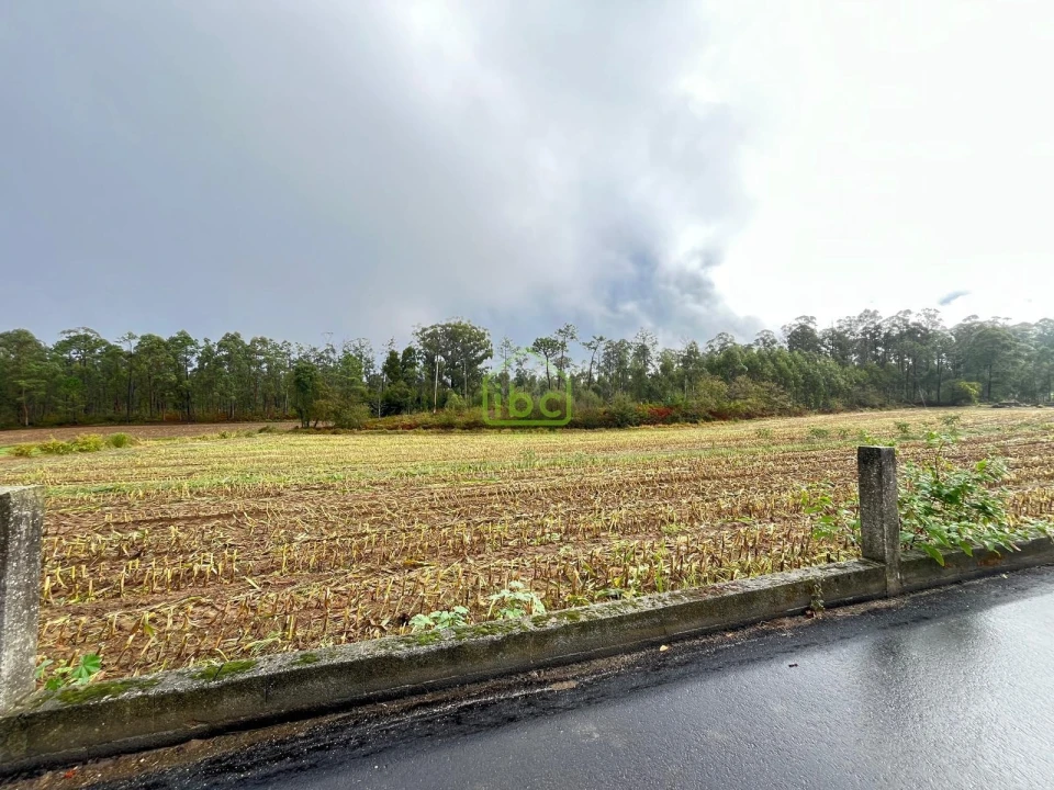 Terreno para Venda em Aver-O-Mar, Amorim e Terroso Foto 8
