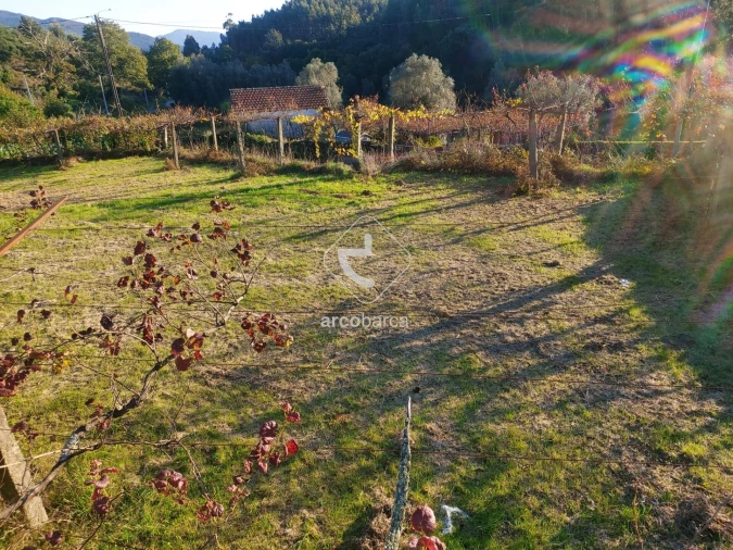 Terreno para Venda em Cabração e Moreira do Lima Foto 2