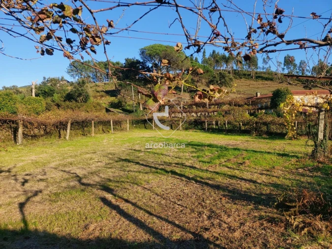 Terreno para Venda em Cabração e Moreira do Lima Foto 6