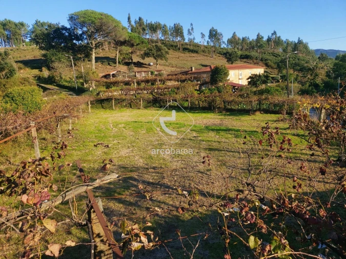 Terreno para Venda em Cabração e Moreira do Lima Foto 3