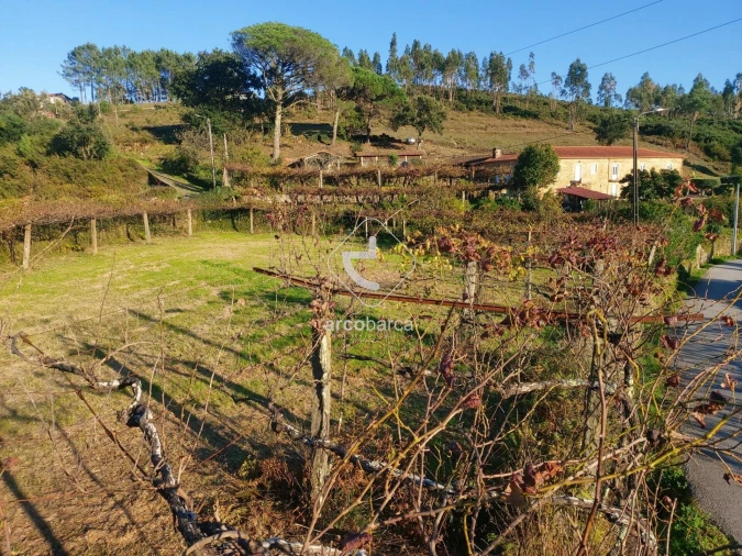 Terreno para Venda em Cabração e Moreira do Lima Foto 4