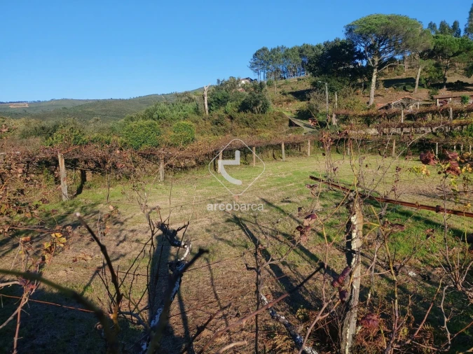 Terreno para Venda em Cabração e Moreira do Lima Foto 5