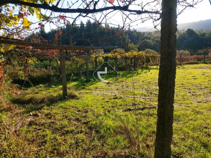 Terreno para Venda em Cabração e Moreira do Lima Foto 12