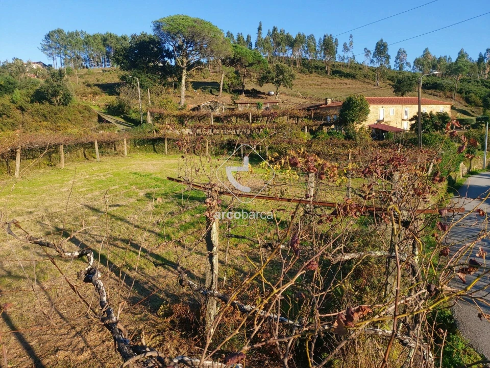 Terreno para Venda em Cabração e Moreira do Lima Foto 4