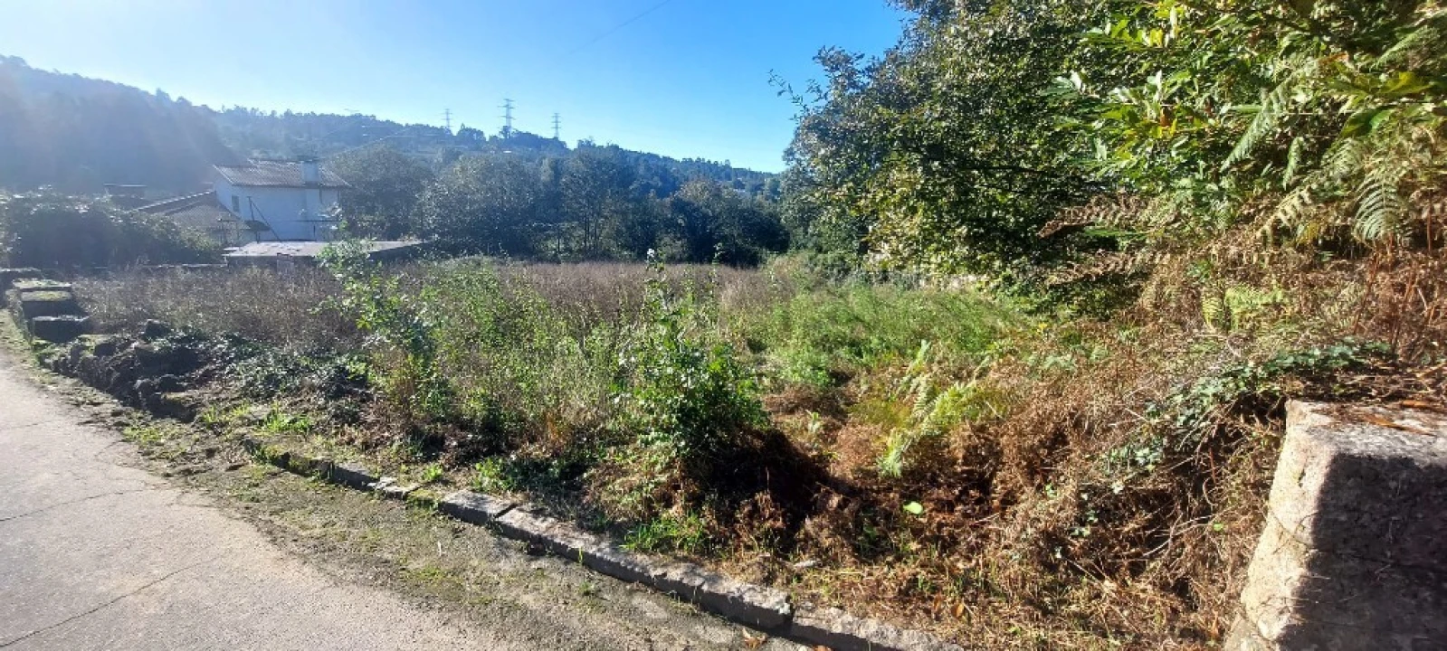 Terreno para Venda em Fiscal Foto 1