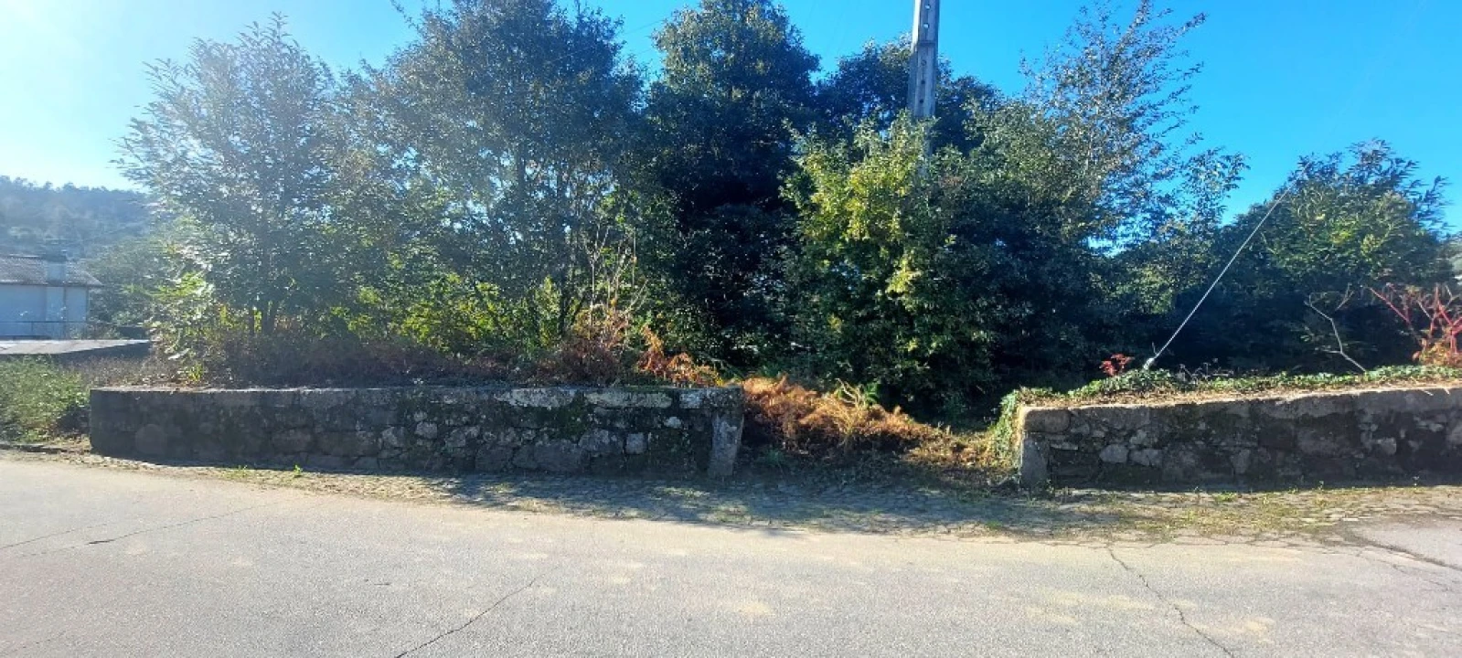 Terreno para Venda em Fiscal Foto 3