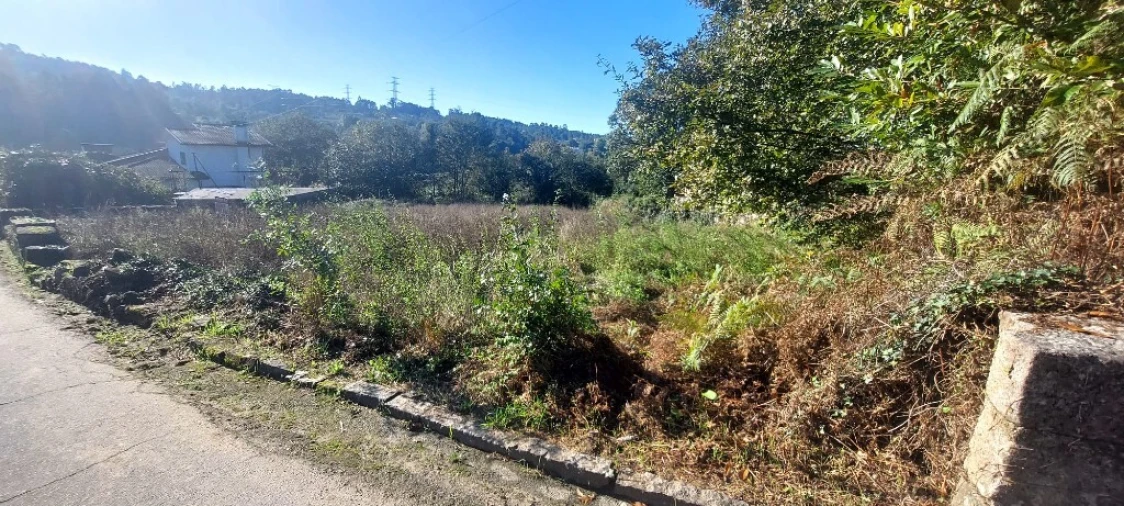 Terreno para Venda em Fiscal Foto 1