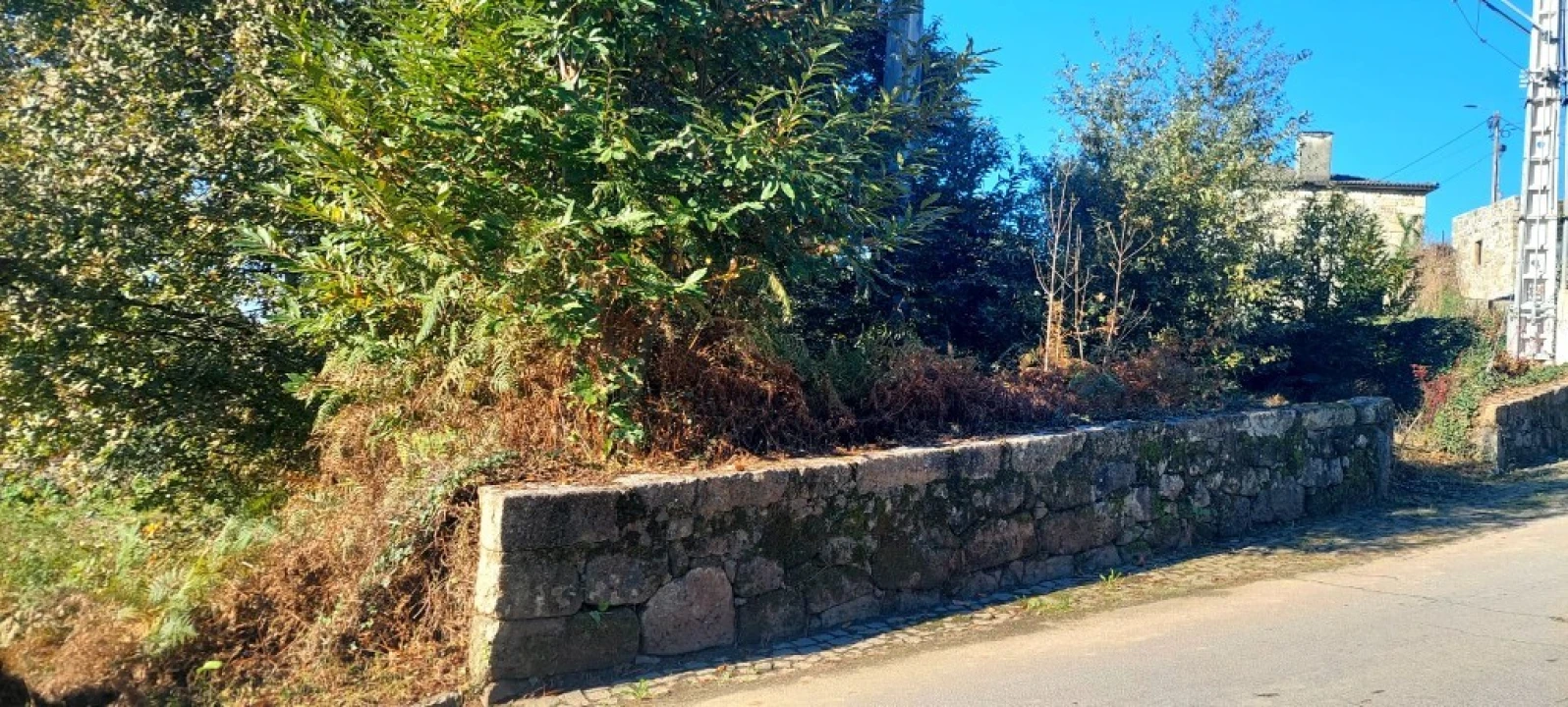 Terreno para Venda em Fiscal Foto 4