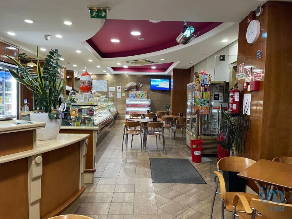 Negócio para Venda em Oliveira do Bairro Foto 4