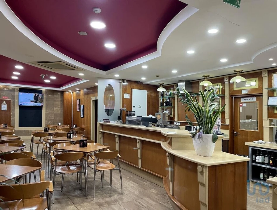 Negócio para Venda em Oliveira do Bairro Foto 1