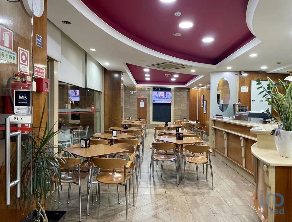 Negócio para Venda em Oliveira do Bairro Foto 2