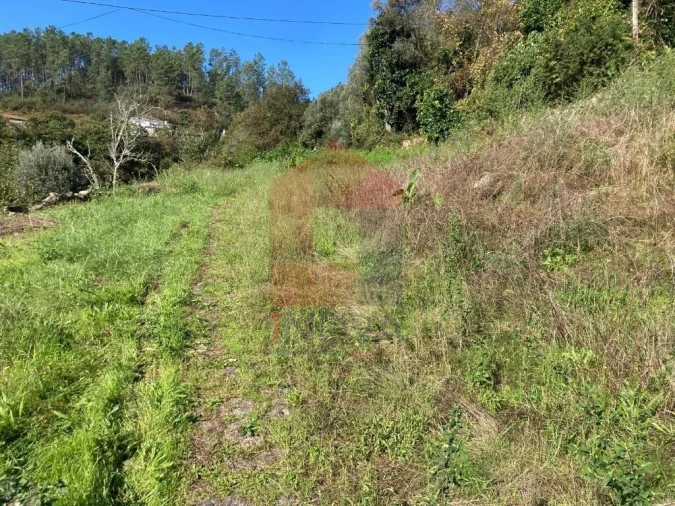 Terreno para Venda em Ponte Foto 2