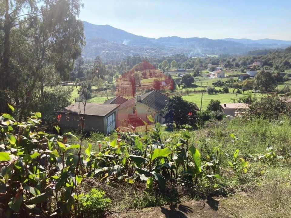 Terreno para Venda em Ponte Foto 13
