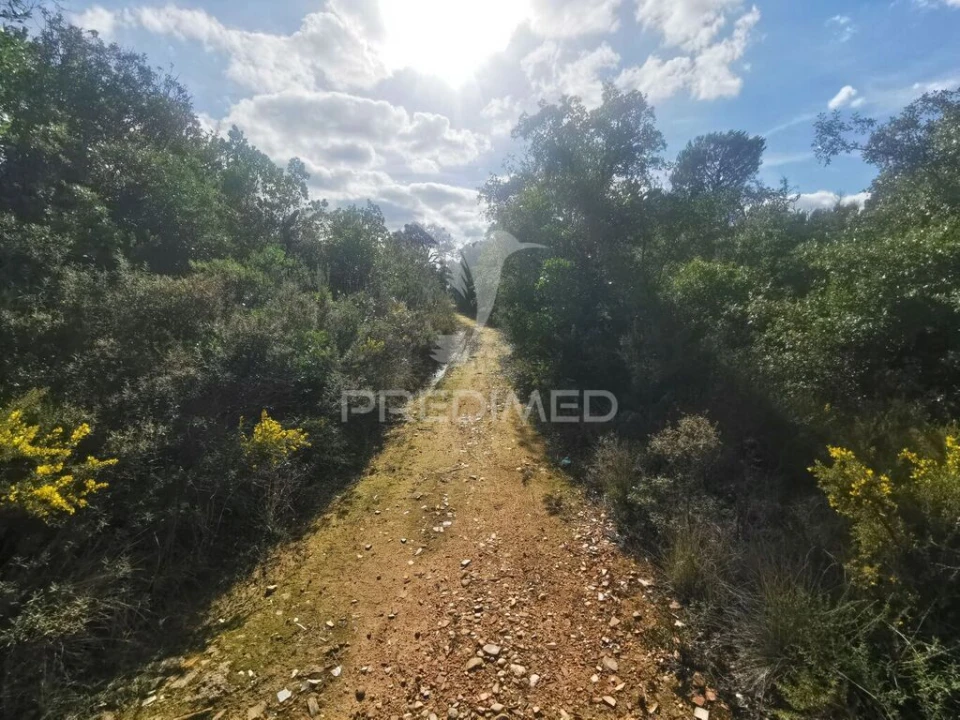 Terreno para Venda em Atalaia Foto 14