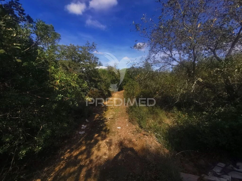 Terreno para Venda em Atalaia Foto 2