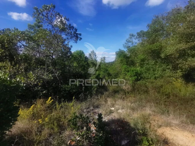 Terreno para Venda em Atalaia Foto 13