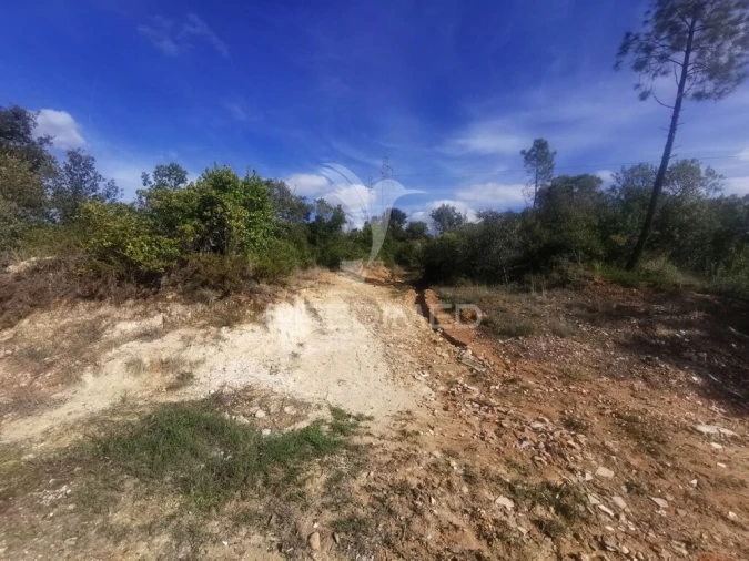Terreno para Venda em Atalaia Foto 7