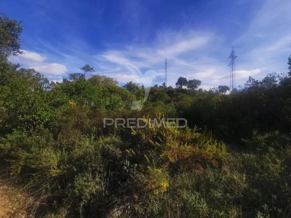 Terreno para Venda em Atalaia Foto 11