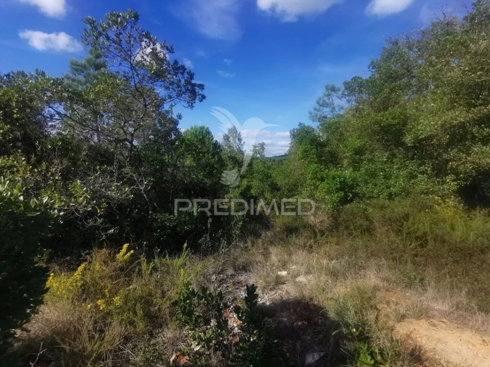 Terreno para Venda em Atalaia Foto 13