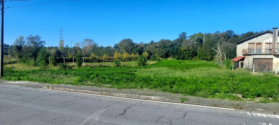 Terreno para Venda em Fiscal Foto 1