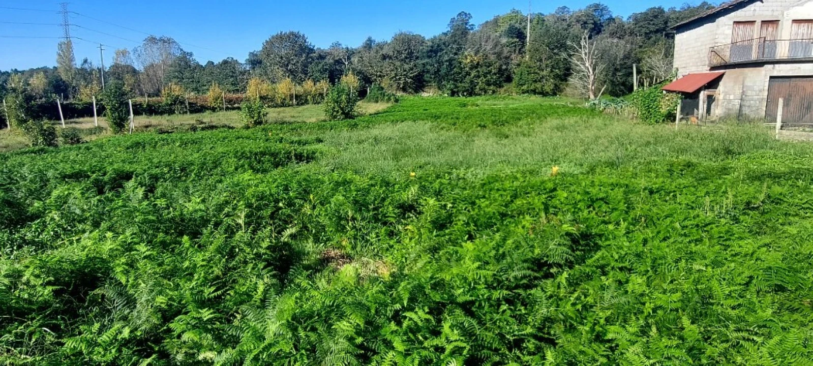Terreno para Venda em Fiscal Foto 3