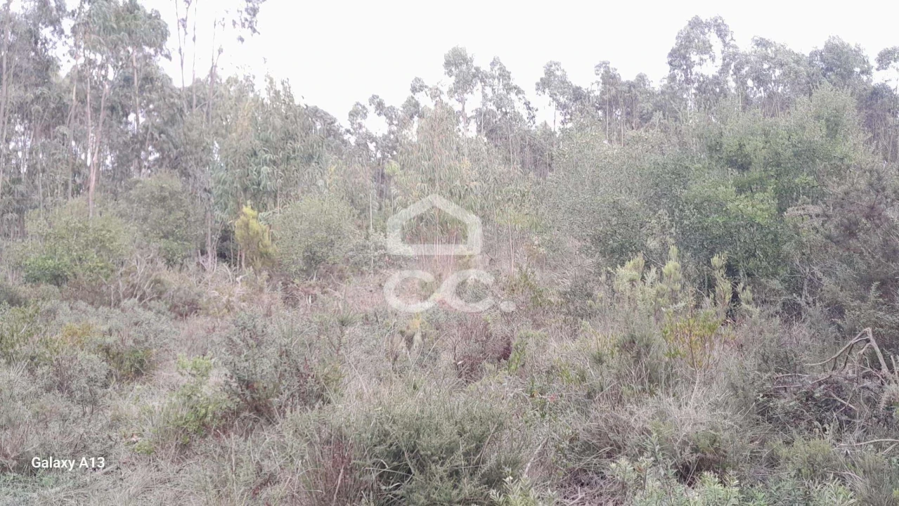Terreno para Venda em São Bartolomeu dos Galegos e Moledo Foto 5
