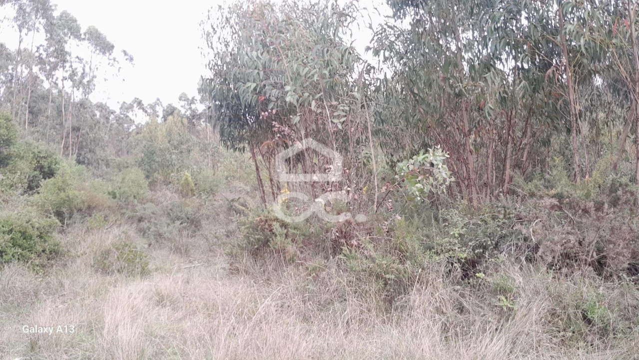 Terreno para Venda em São Bartolomeu dos Galegos e Moledo Foto 7