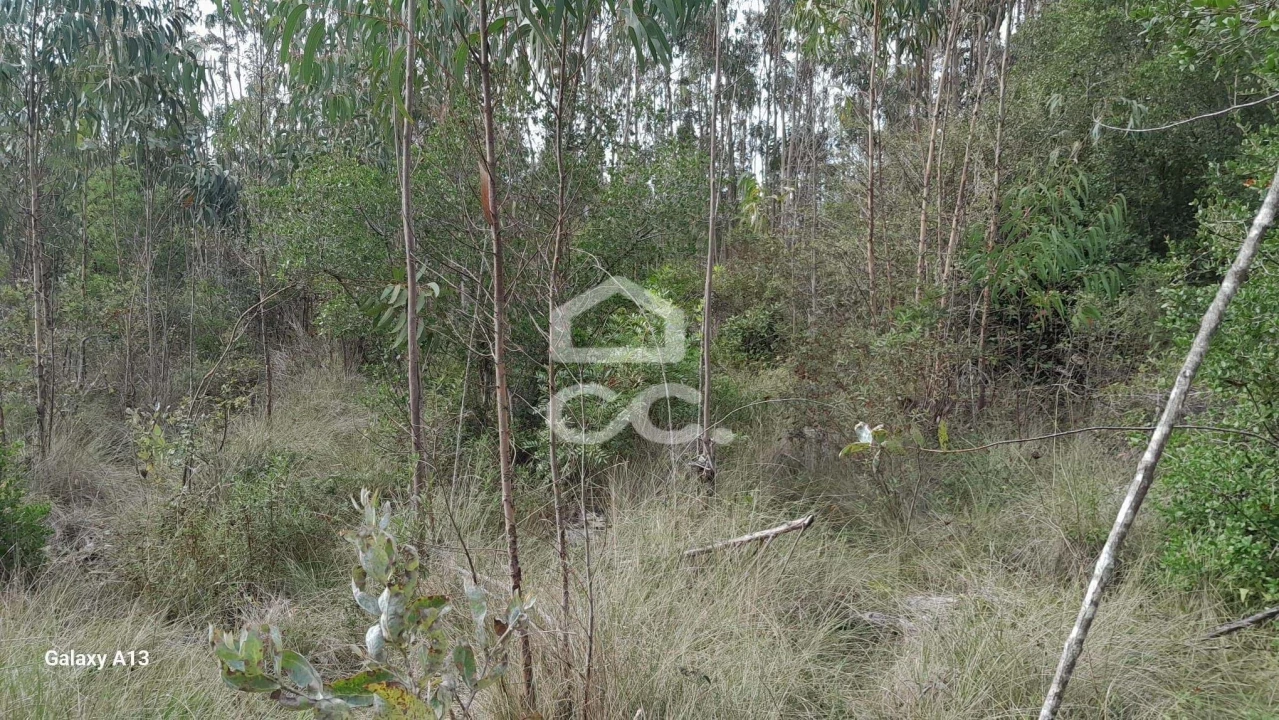 Terreno para Venda em São Bartolomeu dos Galegos e Moledo Foto 4