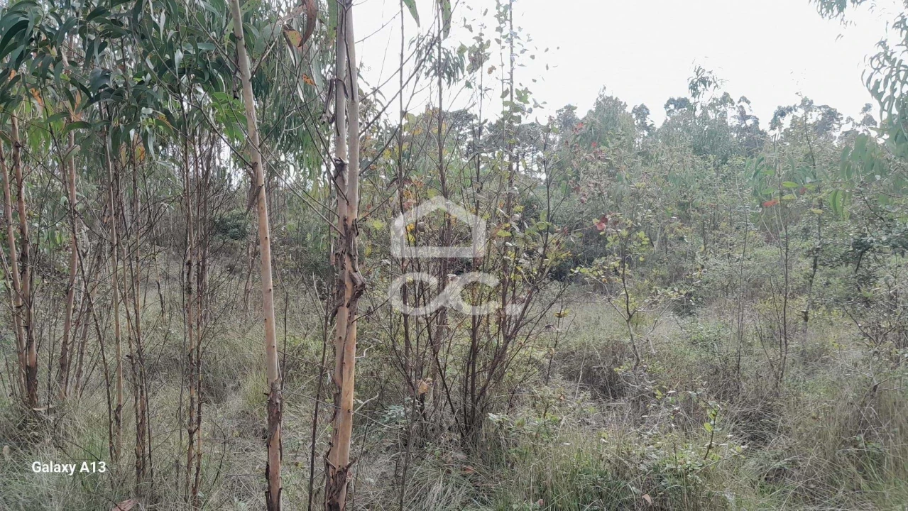 Terreno para Venda em São Bartolomeu dos Galegos e Moledo Foto 3
