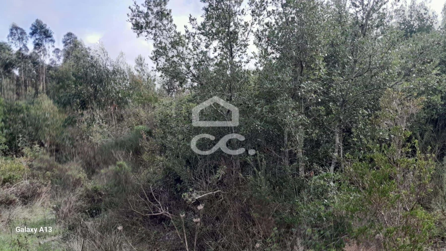 Terreno para Venda em São Bartolomeu dos Galegos e Moledo Foto 2