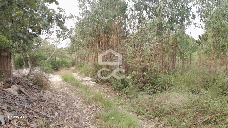Terreno para Venda em São Bartolomeu dos Galegos e Moledo Foto 10