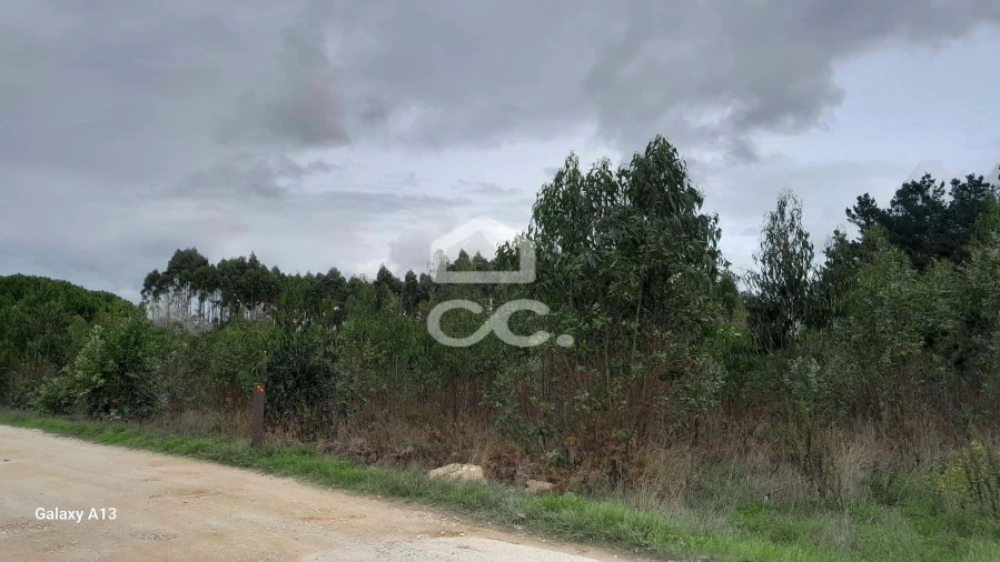 Terreno para Venda em São Bartolomeu dos Galegos e Moledo Foto 1