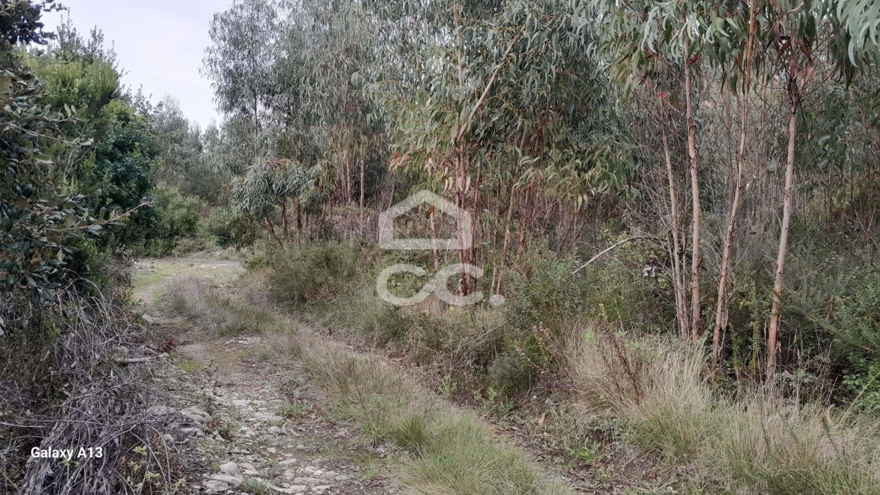 Terreno para Venda em São Bartolomeu dos Galegos e Moledo Foto 8
