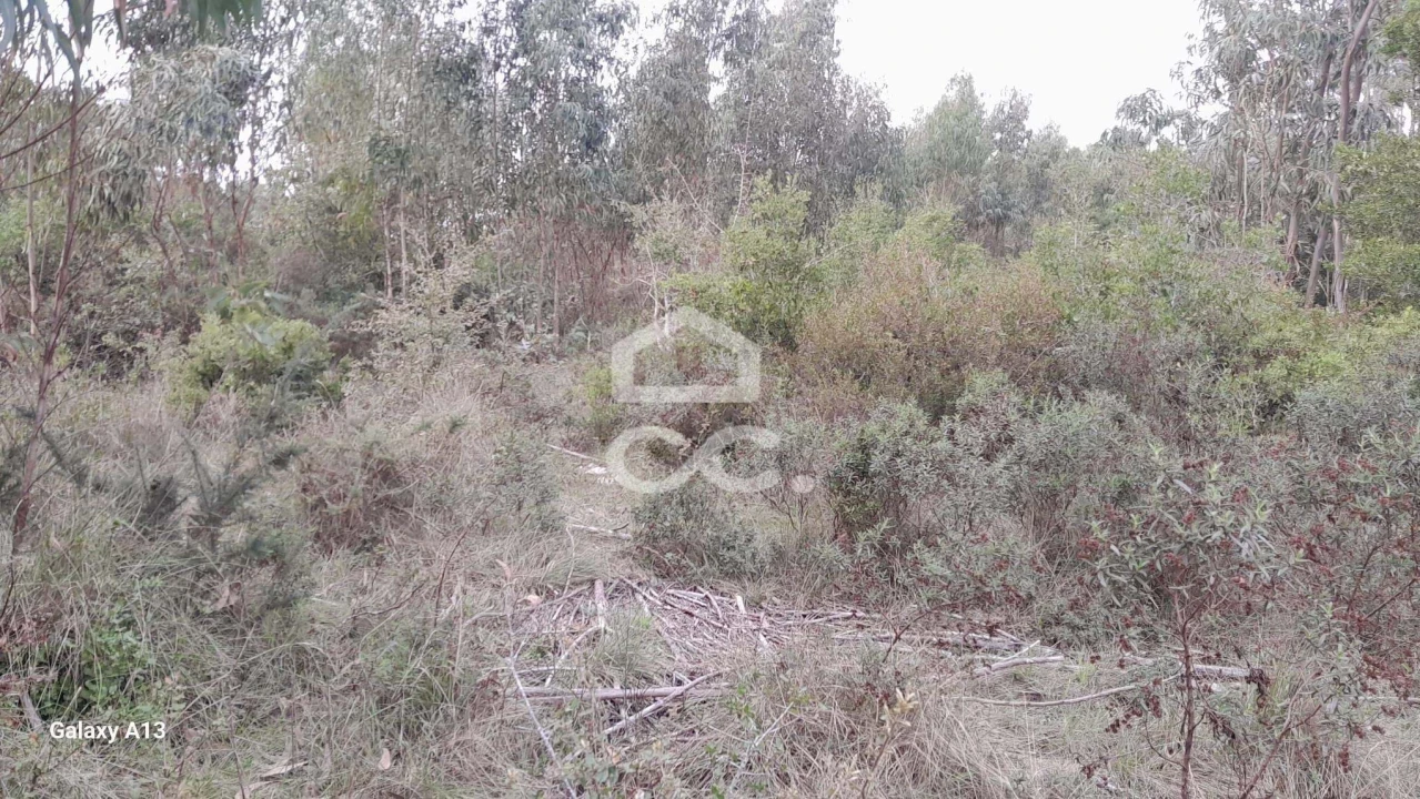 Terreno para Venda em São Bartolomeu dos Galegos e Moledo Foto 6