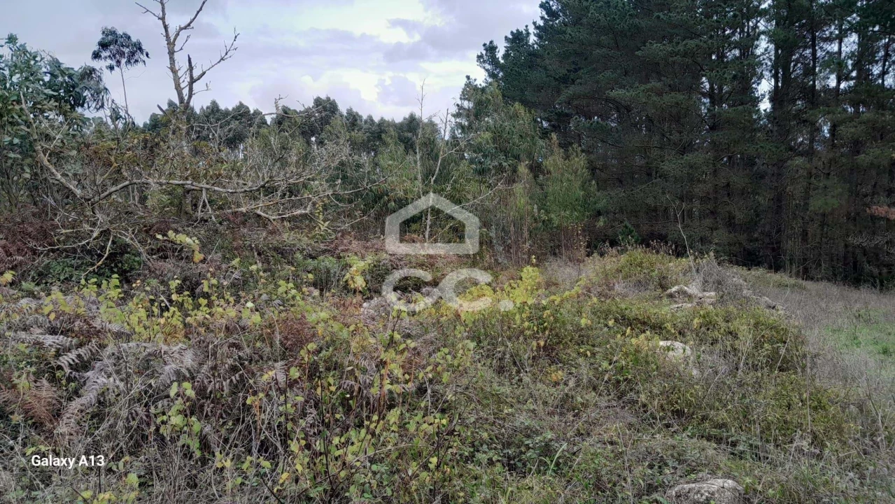 Terreno para Venda em Reguengo Grande Foto 7