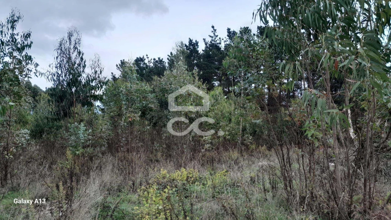 Terreno para Venda em Reguengo Grande Foto 6