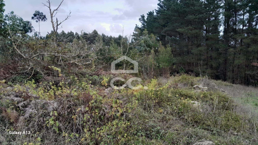 Terreno para Venda em Reguengo Grande Foto 4