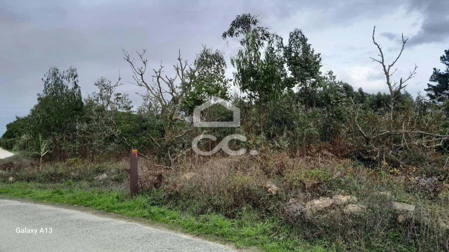 Terreno para Venda em Reguengo Grande Foto 2