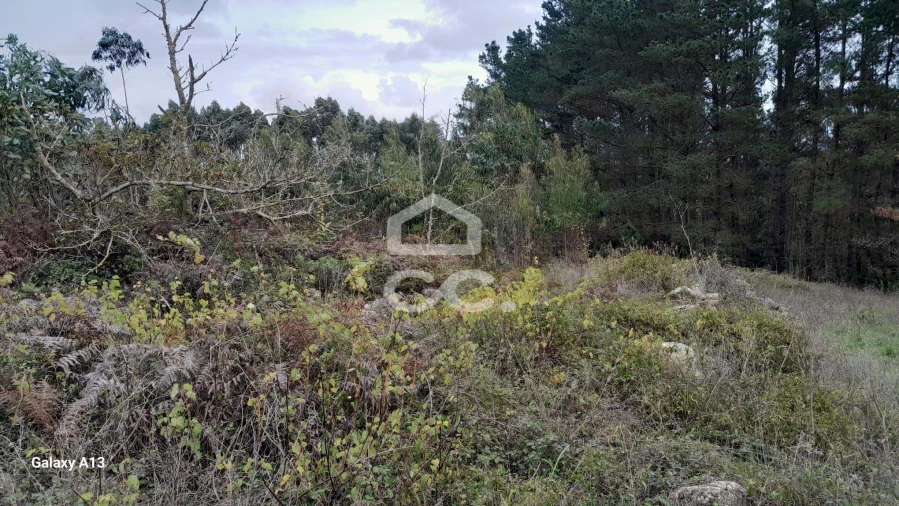 Terreno para Venda em Reguengo Grande Foto 7