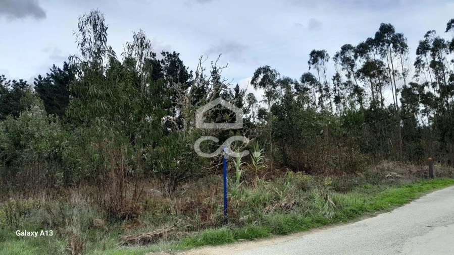 Terreno para Venda em Reguengo Grande Foto 5