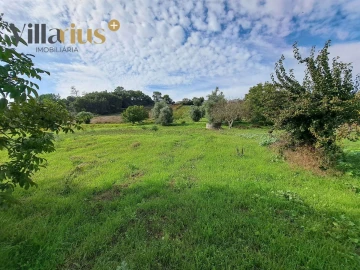 Terreno para Venda em São João Baptista e Santa Maria dos Olivais