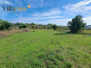 Terreno para Venda em São João Baptista e Santa Maria dos Olivais