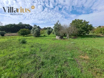 Terreno para Venda em São João Baptista e Santa Maria dos Olivais