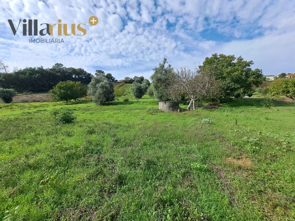 Terreno para Venda em São João Baptista e Santa Maria dos Olivais Foto 4