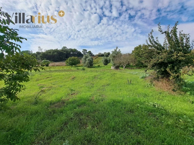 Terreno para Venda em São João Baptista e Santa Maria dos Olivais Foto 5