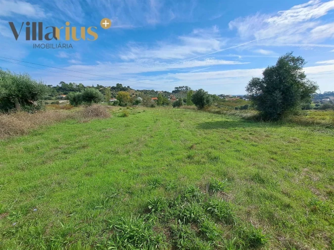 Terreno para Venda em São João Baptista e Santa Maria dos Olivais Foto 2