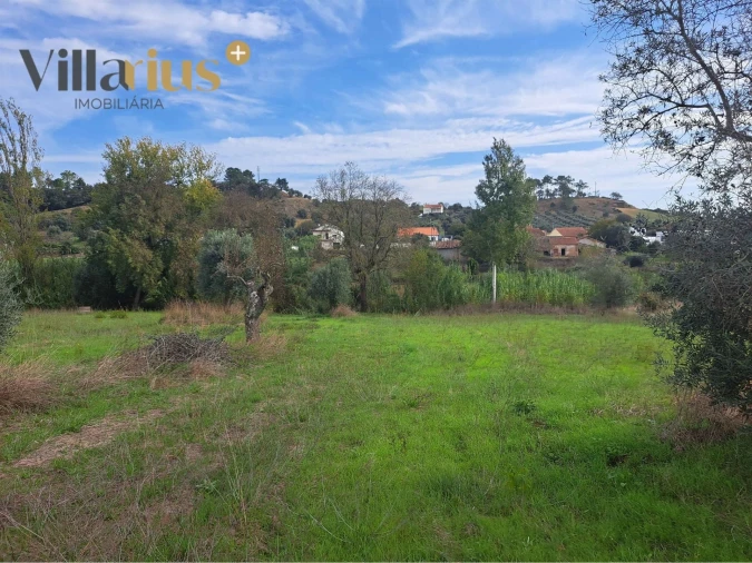 Terreno para Venda em São João Baptista e Santa Maria dos Olivais Foto 10