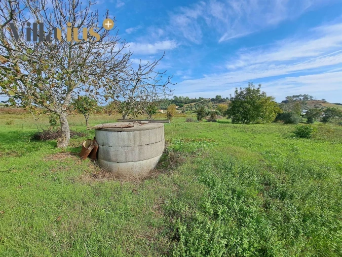 Terreno para Venda em São João Baptista e Santa Maria dos Olivais Foto 6
