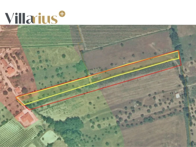 Terreno para Venda em São João Baptista e Santa Maria dos Olivais Foto 12
