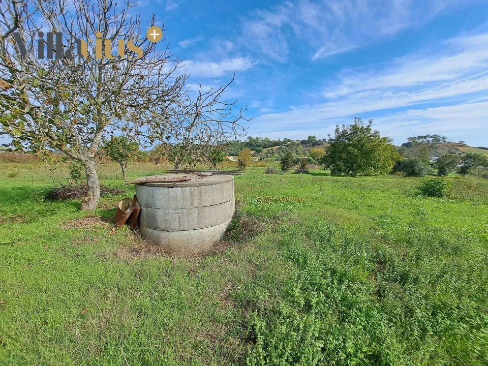 Terreno para Venda em São João Baptista e Santa Maria dos Olivais Foto 6